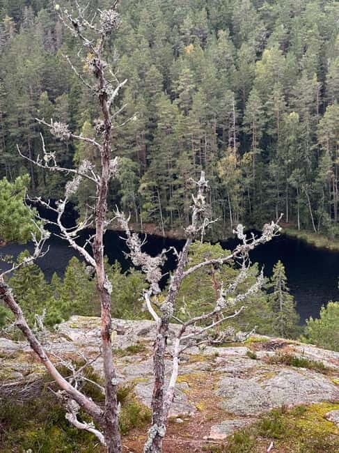 Stockholm: Canoe and Kayak Rental in Sörmland - Exploring Sörmland by Water: An Authentic Swedish Adventure