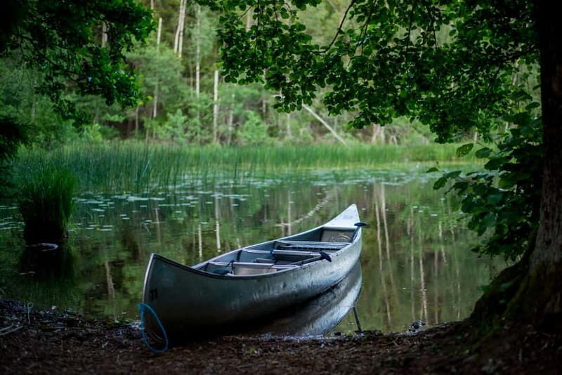 Stockholm: Canoe and Kayak Rental in Sörmland - The Sum Up