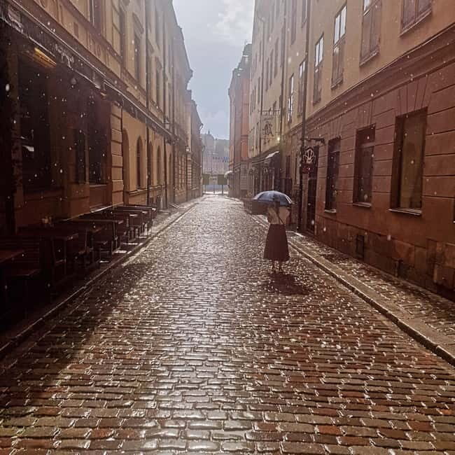 Stockholm City: Visit Icebar and Vasamuseum - An In-Depth Look at the Experience