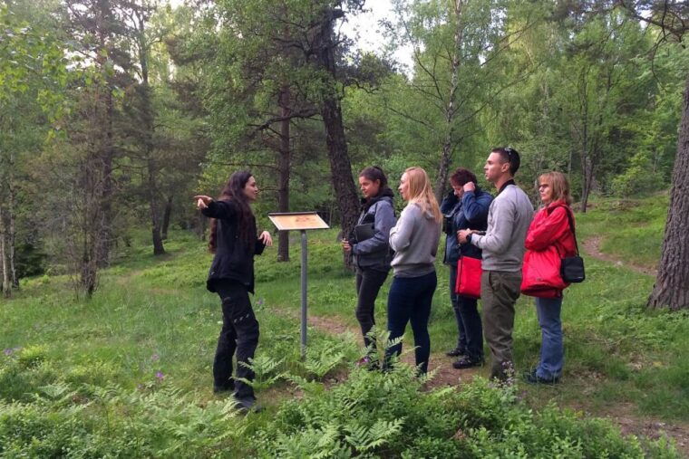 Stockholm: Evening Wildlife Safari with Midsummer Meal - Final Thoughts