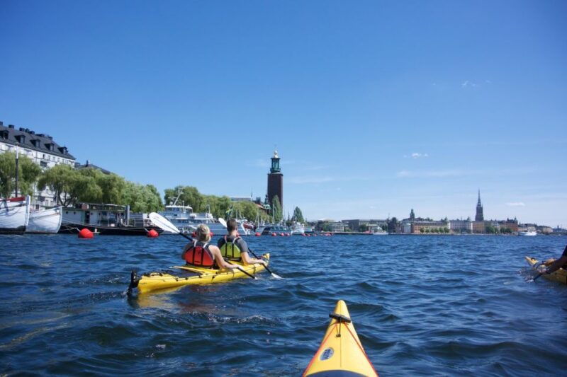 Stockholm: Guided Kayak City Tour & Optional Midsummer Meal - Who Would Love This Tour?