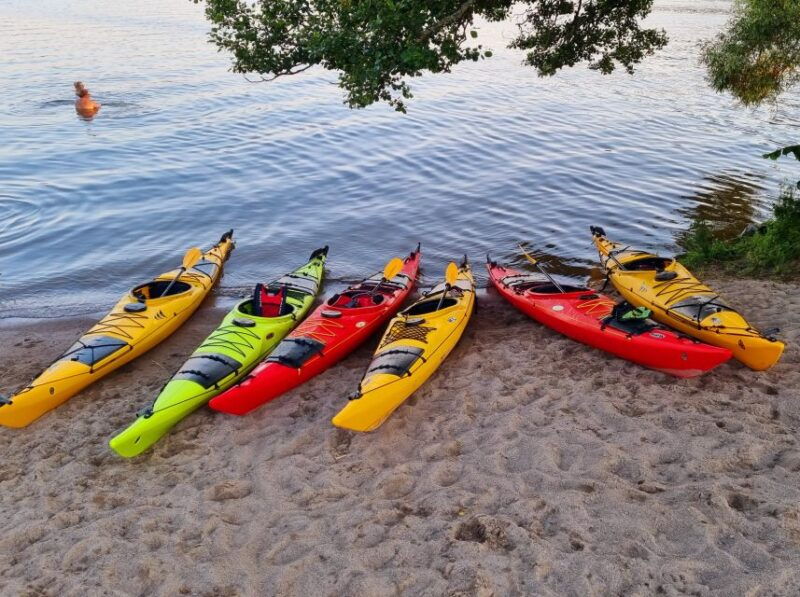 Stockholm: Guided Kayak Tour to Drottningholm Royal Palace - An In-Depth Look at the Tour Experience