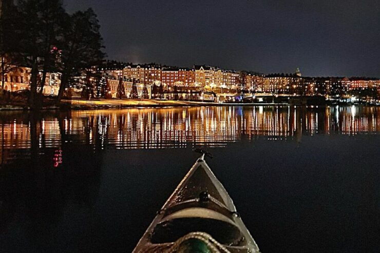 Stockholm: Guided Winter Kayaking Tour & Optional Sauna Time - Activity Details