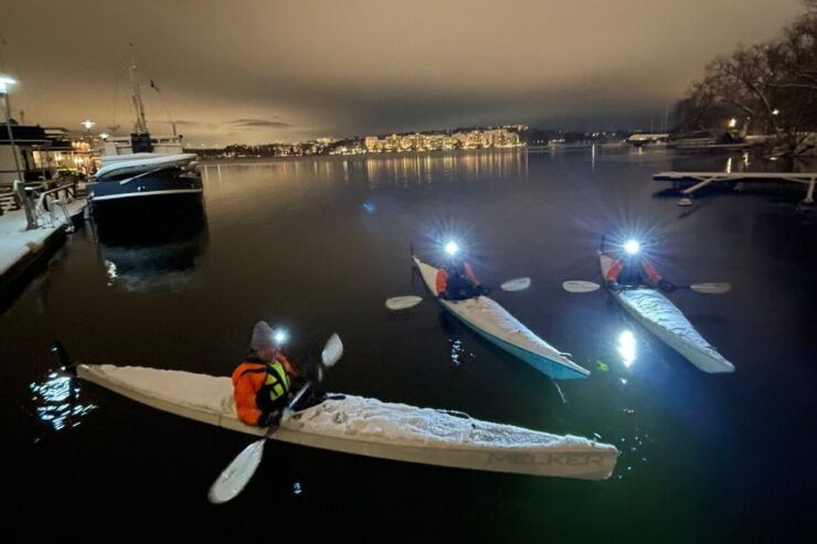 Stockholm: Guided Winter Kayaking Tour & Optional Sauna Time - Experience Highlights