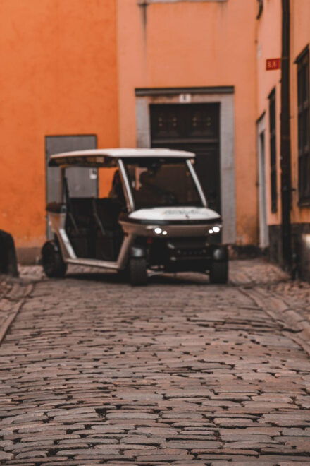 Stockholm Highlights by Golf Cart Tour - Key Attractions Visited