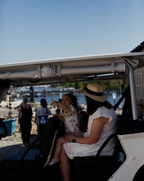 Stockholm Highlights by Golf Cart Tour - Customer Ratings and Reviews