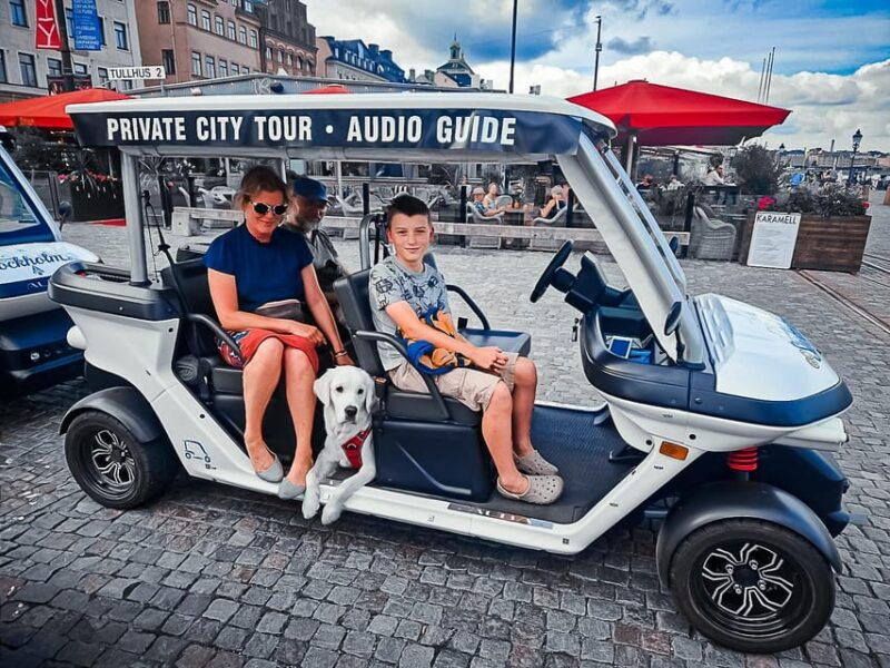 Stockholm Highlights by Golf Cart Tour - A Closer Look at the Stockholm Golf Cart Tour