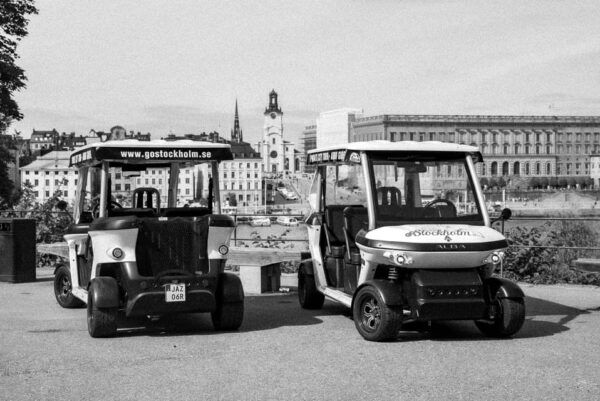 Stockholm Highlights by Golf Cart Tour - Exploring Stockholms Sights