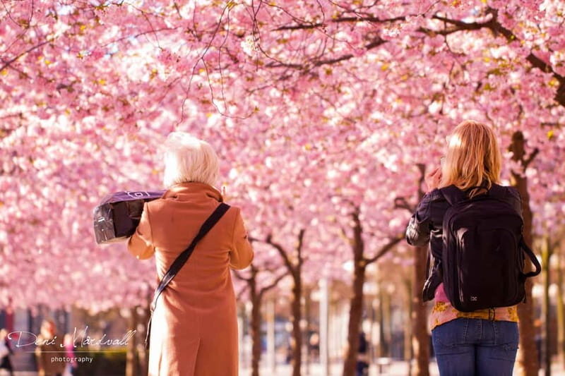 Stockholm: Highlights Guided Walking Tour - Exploring Stockholm on Foot: What to Expect