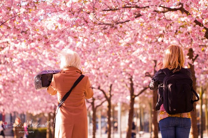 Stockholm Highlights Tour - Fashion, Design, and Music Scenes