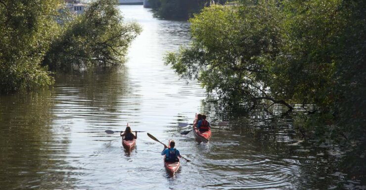Stockholm: Kayak Tour in City Center - Good To Know