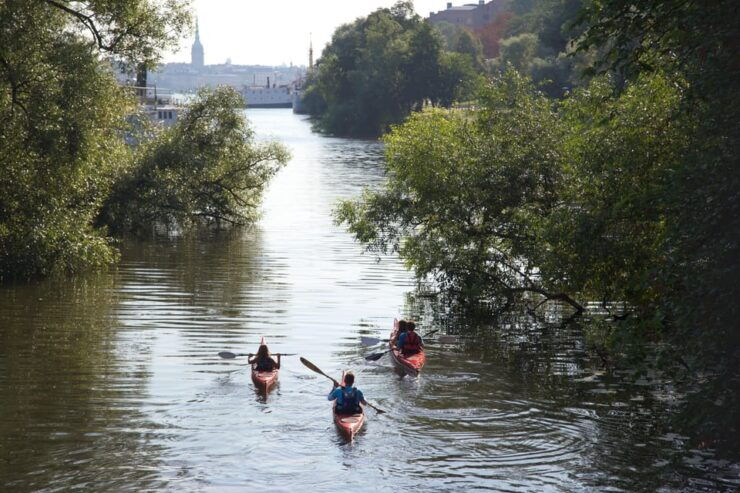 Stockholm: Kayak Tour in City Center - Activity and Duration
