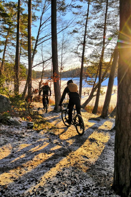 Stockholm: Mountain Biking Adventure for Experienced Riders - Essential Preparation Tips