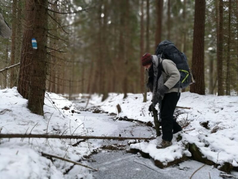 Stockholm: Nature Hike with Campfire Lunch - Authentic Insights from Reviews
