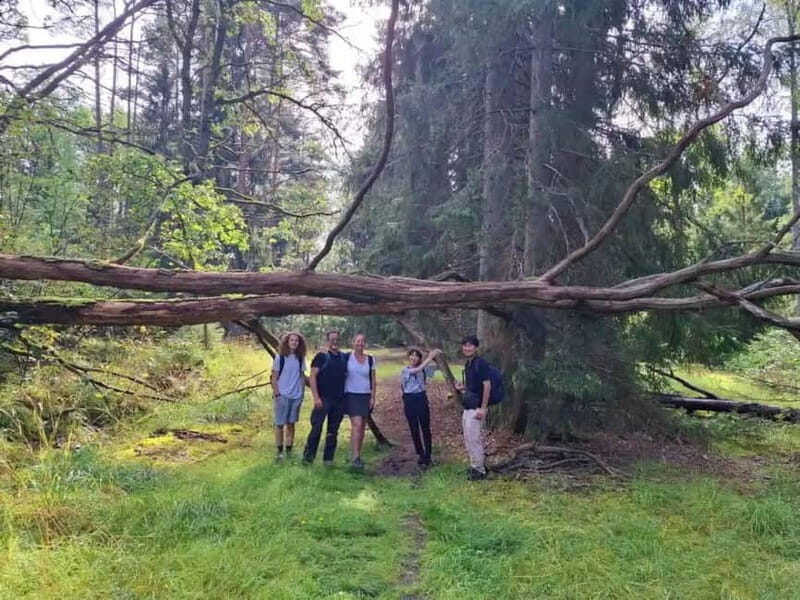 Stockholm: Nature Reserve Hiking Tour with Campfire Lunch - Final Thoughts