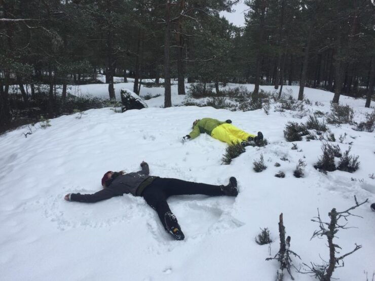Stockholm: Nature Reserve Hiking Tour With Campfire Lunch - Highlights of the Hiking Tour