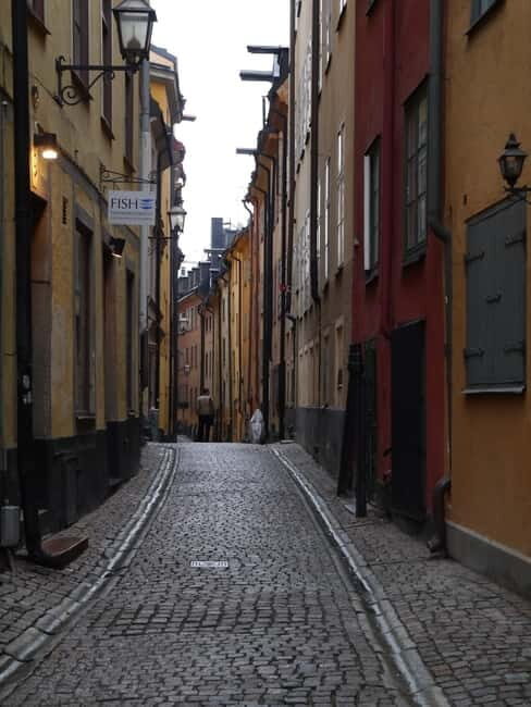 Stockholm: Private Guided Car Tour and Vasa Museum Entry - The Real Experiences From Other Travelers