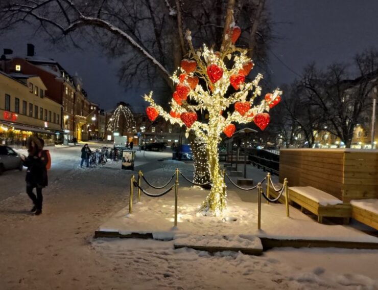 Stockholm: Private Magical Swedish Christmas Tour 2h - Experience Highlights