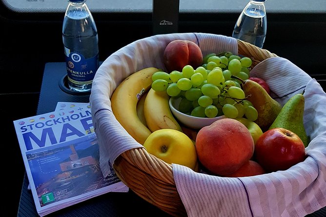 Stockholm Private Tour to Drottningholm Palace and Royal Chinese Pavilion - The Sum Up