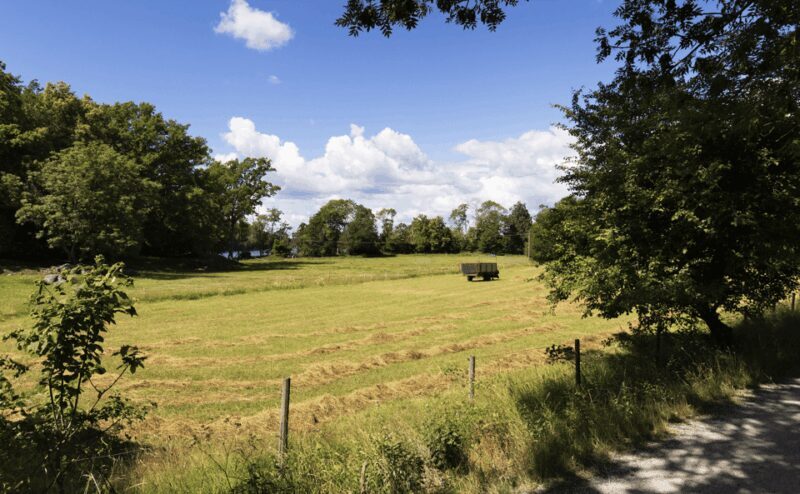 Stockholm: RIB Speed boat tour & archipelago island visit - FAQ