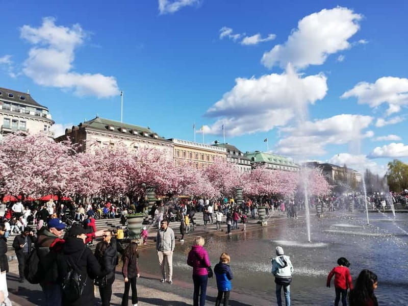 Stockholm: Scandinavian Architecture & Design Ostermalm Tour - The Value of the Experience