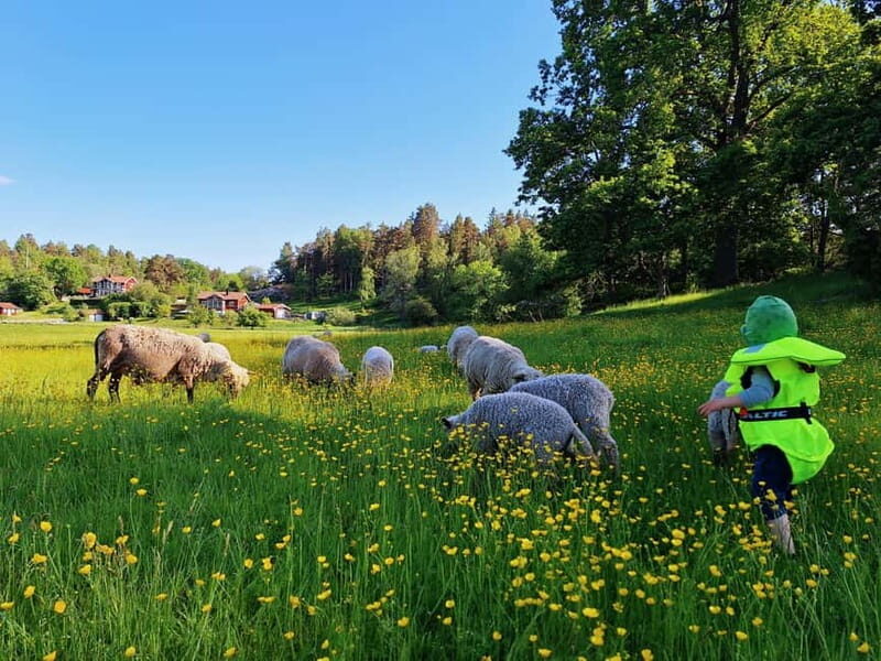 Stockholm: Self Guided Kayak Adventure in Nature Reserve - Authentic Experience and Value