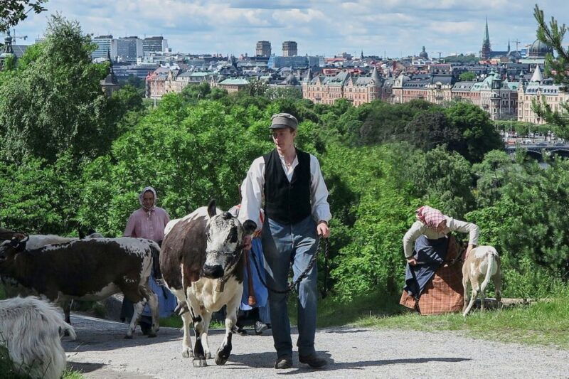 Stockholm: Skansen Open-Air Museum Admission Ticket - Seasonal Highlights and Christmas Market