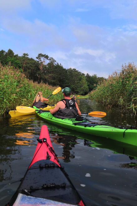 Stockholm: Stockholm Archipelago Full-Day Kayak Tour - Important Information
