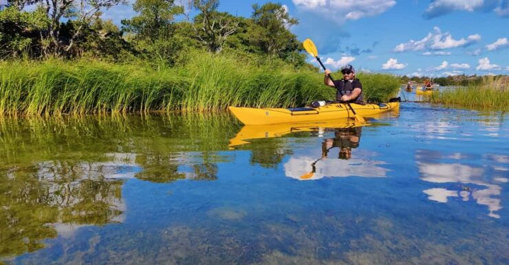 Stockholm: Stockholm Archipelago Full-Day Kayak Tour - Good To Know