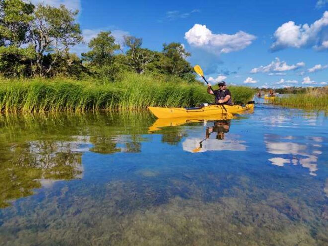 Stockholm: Stockholm Archipelago Full-Day Kayak Tour - Itinerary and Highlights
