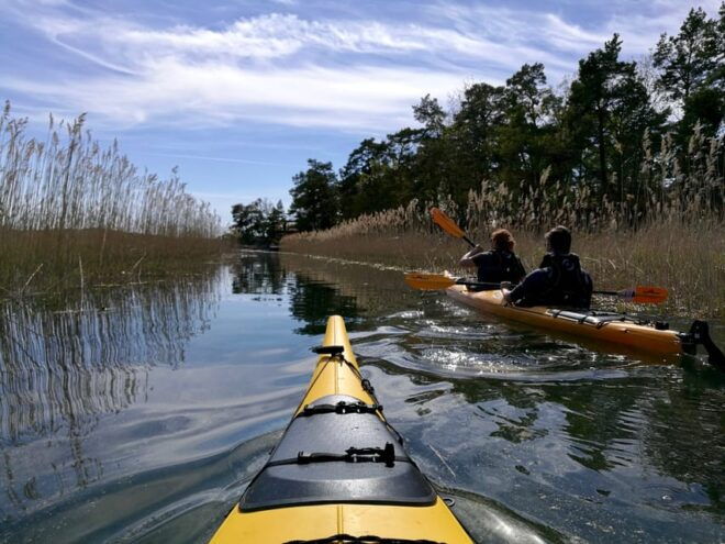 Stockholm: Stockholm Archipelago Full-Day Kayak Tour - Kayaking Experience