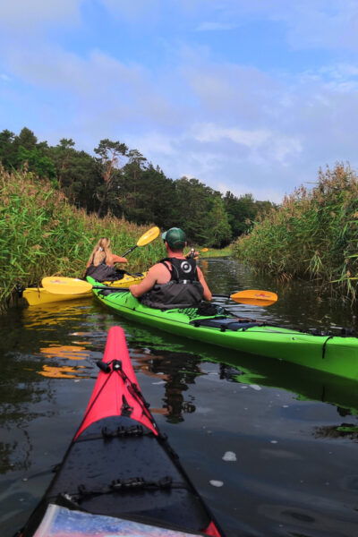Stockholm: Stockholm Archipelago Full-Day Kayak Tour - Customer Feedback