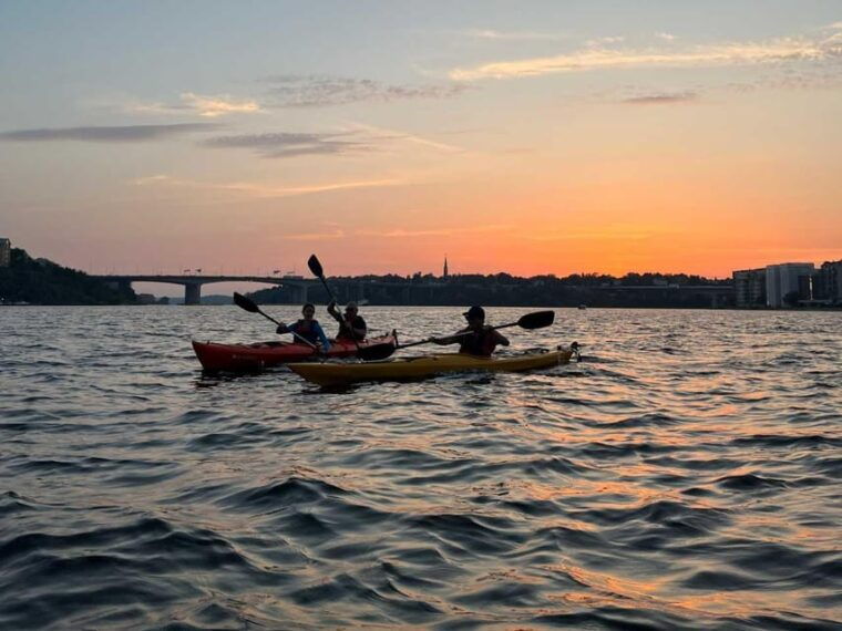 Stockholm: Sunset Kayak Tour in the City + Swedish Fika - What’s Included and Practical Details