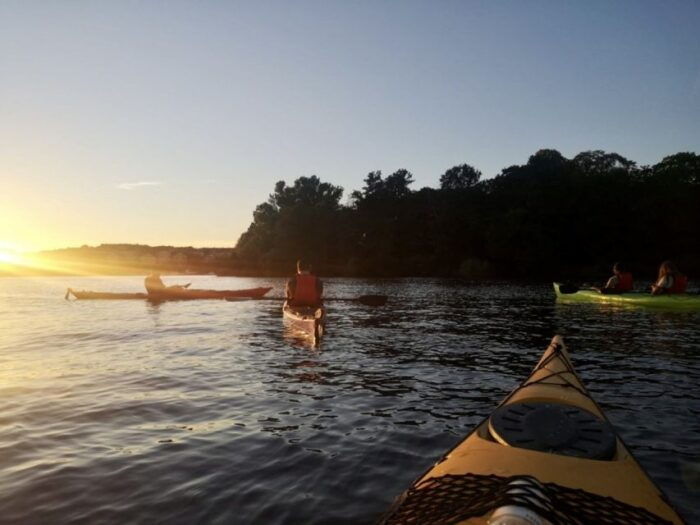 Stockholm: Sunset Kayak Tour in the City + Swedish Fika - Who Is This Tour Best For?