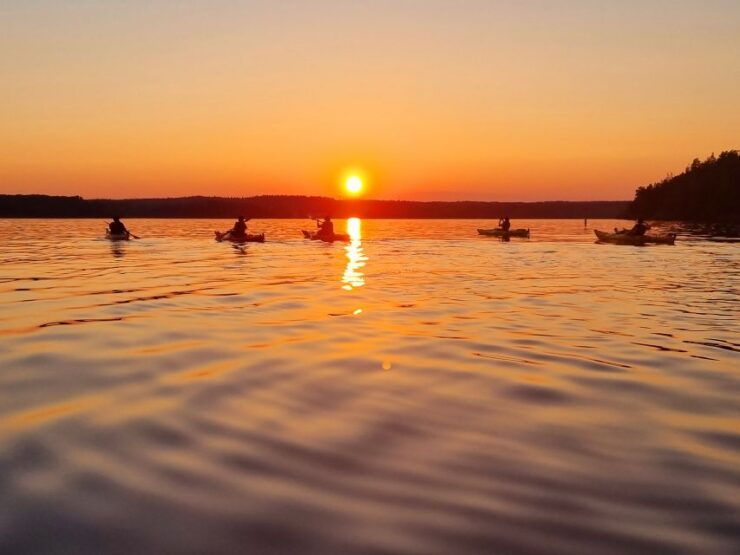 Stockholm: Sunset Kayak Tour on Lake Mälaren With Tea & Cake - Experience Highlights