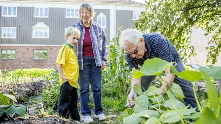 Stockholm: Sustainable Tour - Sustainable Highlights of Stockholm