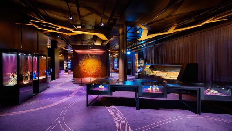 Stockholm: The Swedish History Museum Entry Ticket - What to Expect During Your Visit