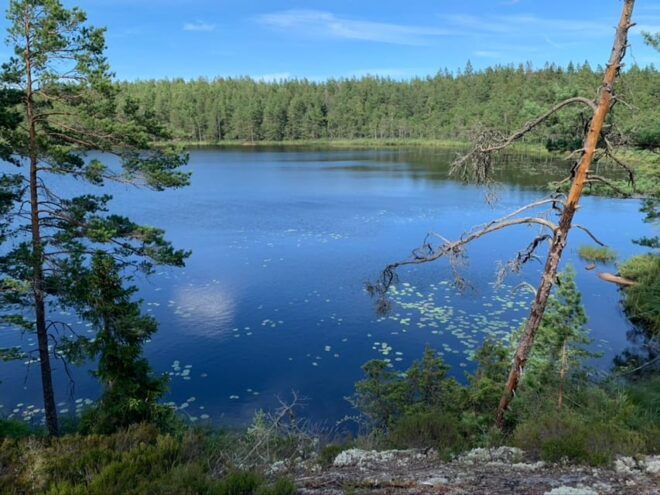 Stockholm: Tyresta National Park Sunset Hike With Meal - Customer Ratings