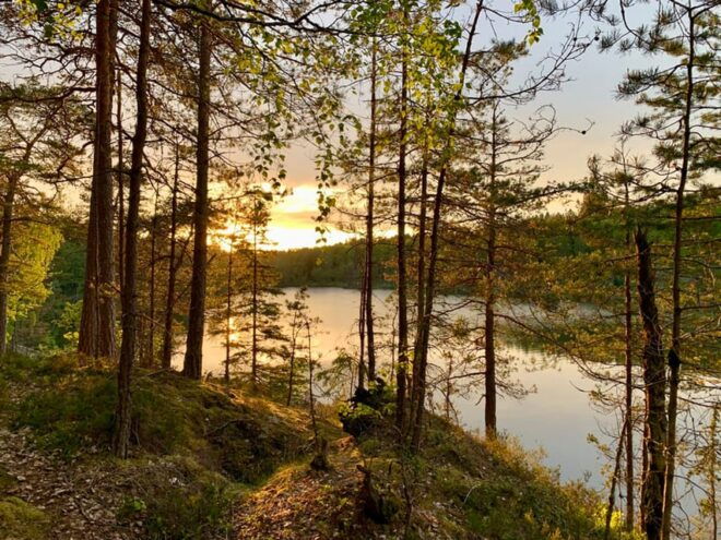 Stockholm: Tyresta National Park Sunset Hike With Meal - Meeting Point Information