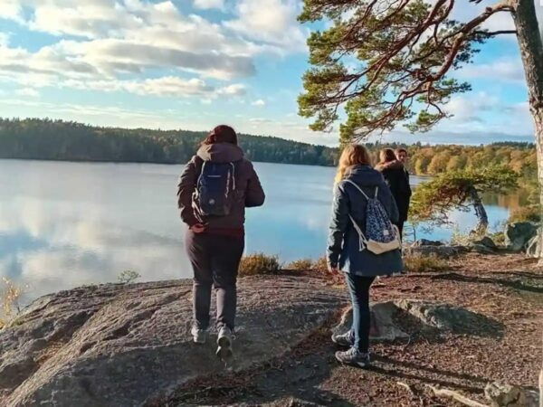 Stockholm: Tyresta National Park Sunset Hike With Meal - Transportation to the Park