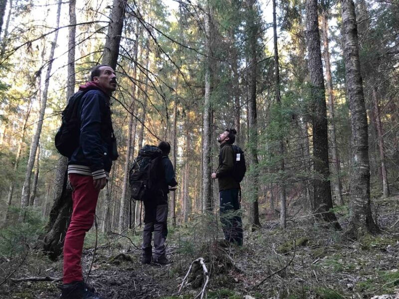 Stockholm: Wildlife Safari - The Campfire Dinner and Refreshments