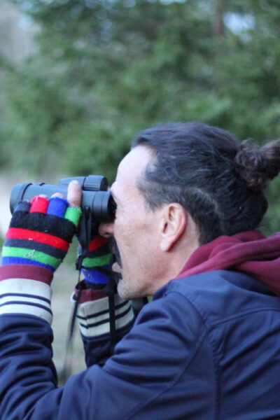 Stockholm: Wildlife Safari - Safari Duration