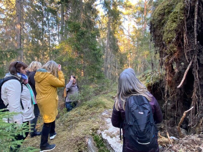 Stockholm: Wildlife Tour With Dinner and Short Hike - The Reviews Say It All