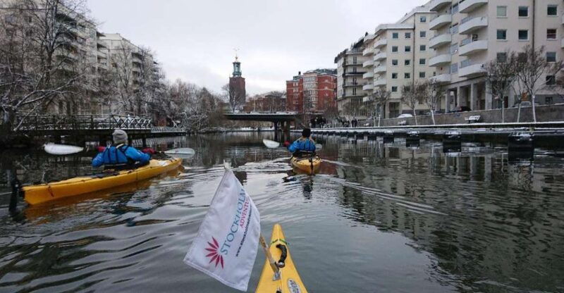 Stockholm: Winter City Kayaking Tour - Good To Know