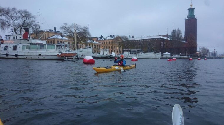 Stockholm: Winter City Kayaking Tour - Who Should Consider This Experience?
