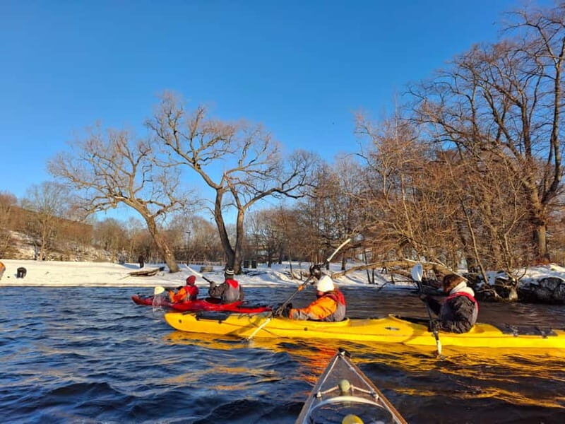 Stockholm: Winter Kayaking Tour through the City Centre - An In-Depth Look at the Experience