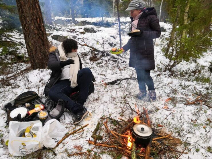 Stockholm: Winter Nature Hike With Campfire Lunch - Activity Details