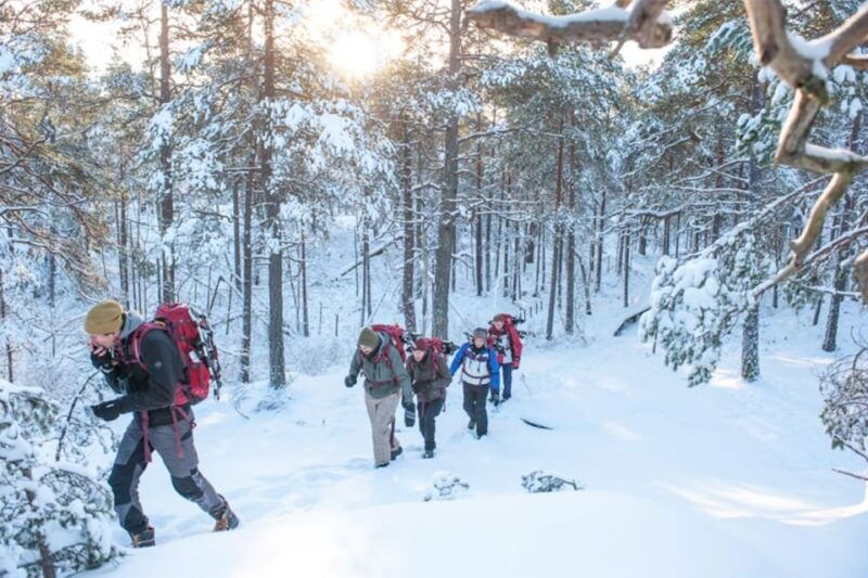 Stockholm: Winter Snowshoe Full-Day Hike - Good To Know