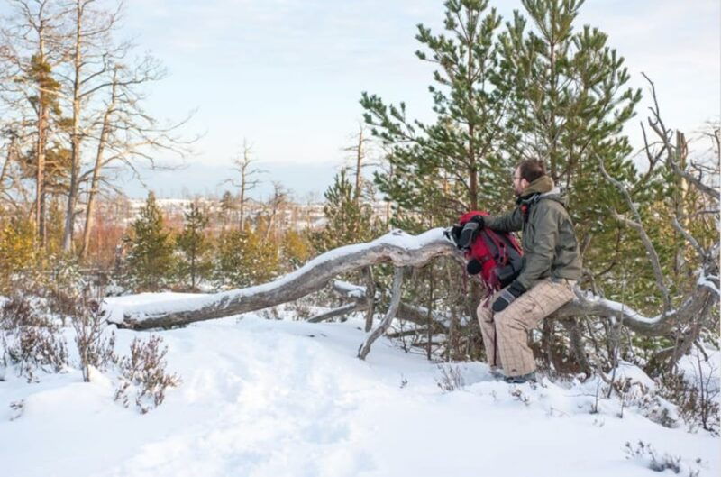 Stockholm: Winter Snowshoe Full-Day Hike - Why This Tour Is a Great Choice
