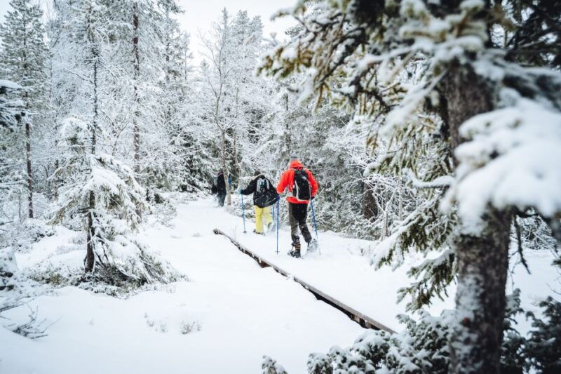 Stockholm: Winter Snowshoe Full-Day Hike - FAQs